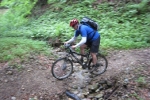 pizzacup_070602_3129