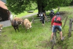 pizzacup_070602_3132