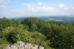 pizzacup_070602_3189