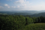 pizzacup_070602_3190