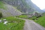 ottostaz_2_033
