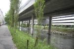 Von ZÃ¼rich nach Brunnen