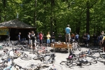 pc_forest_ivo0005