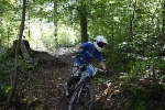 pc_forest_ivo0006