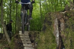 pc_forest_ivo0010