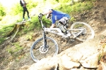 pc_forest_ivo0012