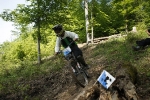 pc_forest_ivo0013