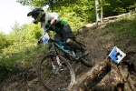 pc_forest_ivo0014