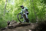 pc_forest_ivo0018