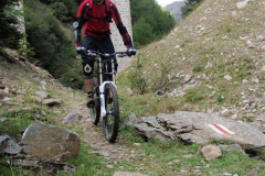 2009
