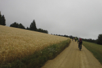 lost_in_transmission_pizzacup_170701-00599